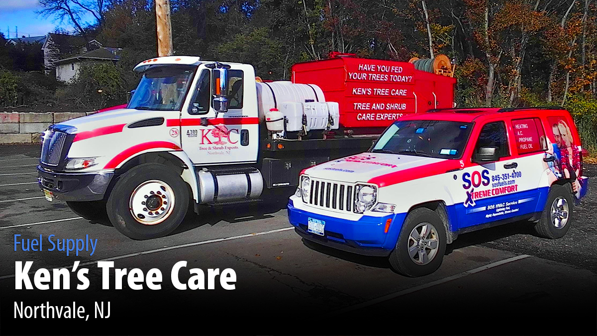 ken's tree service nj